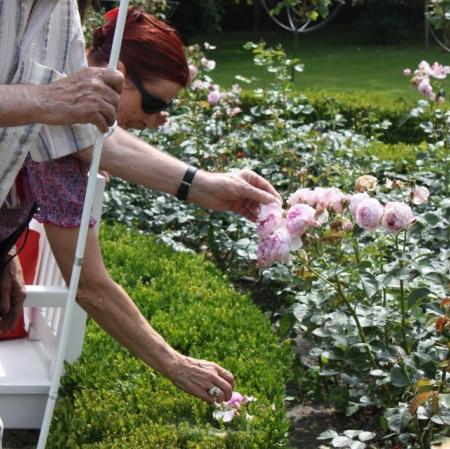 Zwiedzanie ogrodu - uczestnicy warsztatów przy krzewach różanych.