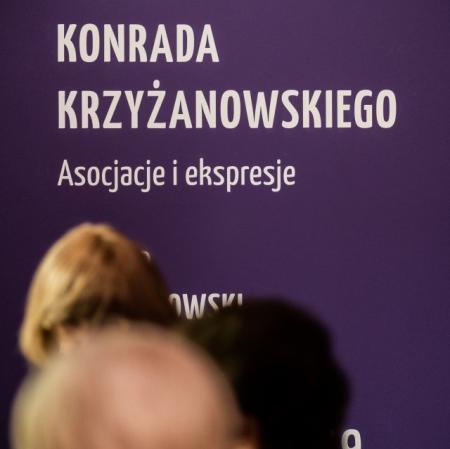 1.WokolKonradaKrzyzanowskiego_HAWADSC09841.jpg
