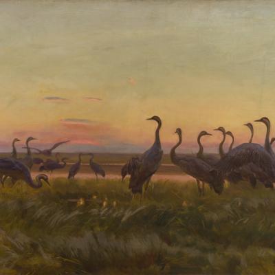 Obraz przedstawia pejzaż - stado żurawi na tle wschodzącego słońca 