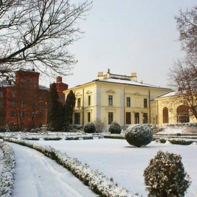 alejki w pałacowym ogrodzie pokryte śniegiem